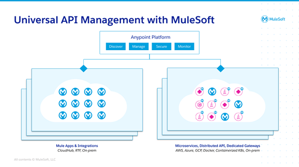 MuleSoft Universal API Management
