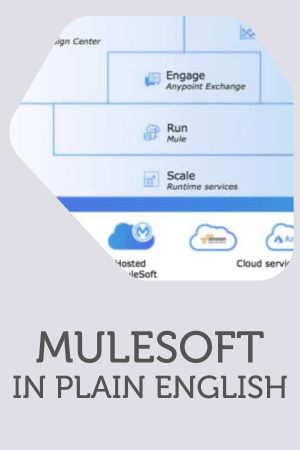 MuleSoft in plain terms