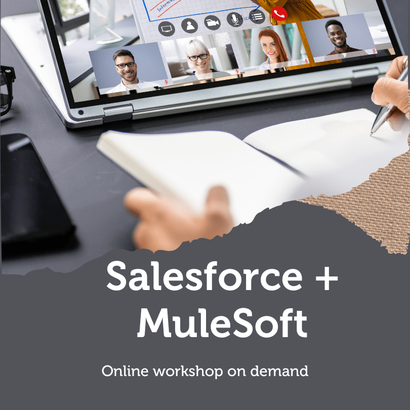 Salesforce MuleSoft workshop