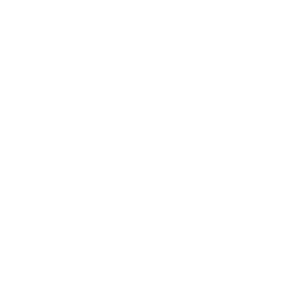 Salesforce expertise